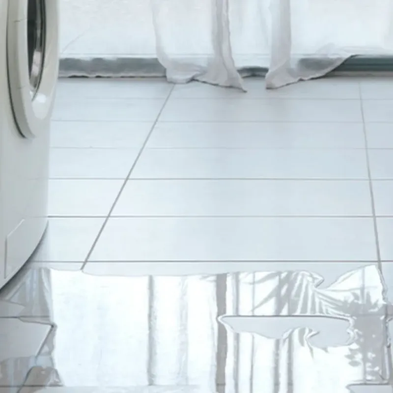 Appliance Leak Cleanup in Strawberry, CA