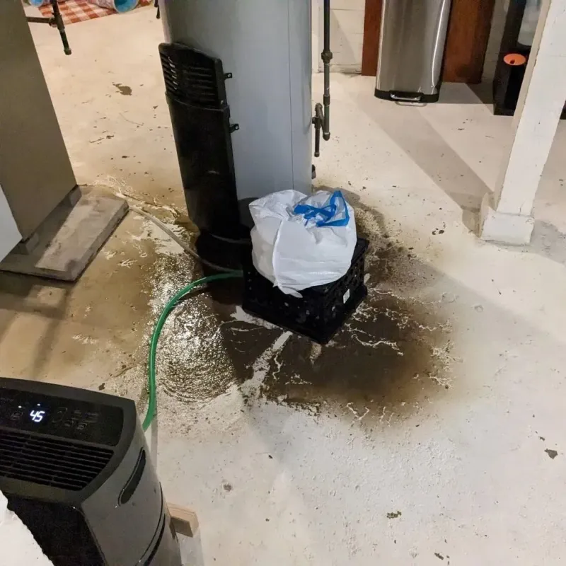 Sewage Backup Cleanup Service in Strawberry, CA